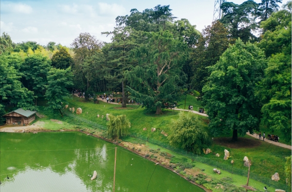 Dendrologscher Park Schekwetili