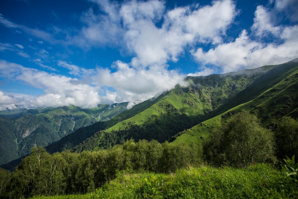 Europas wilder Osten - Der Nationalpark Lagodechi in Georgien