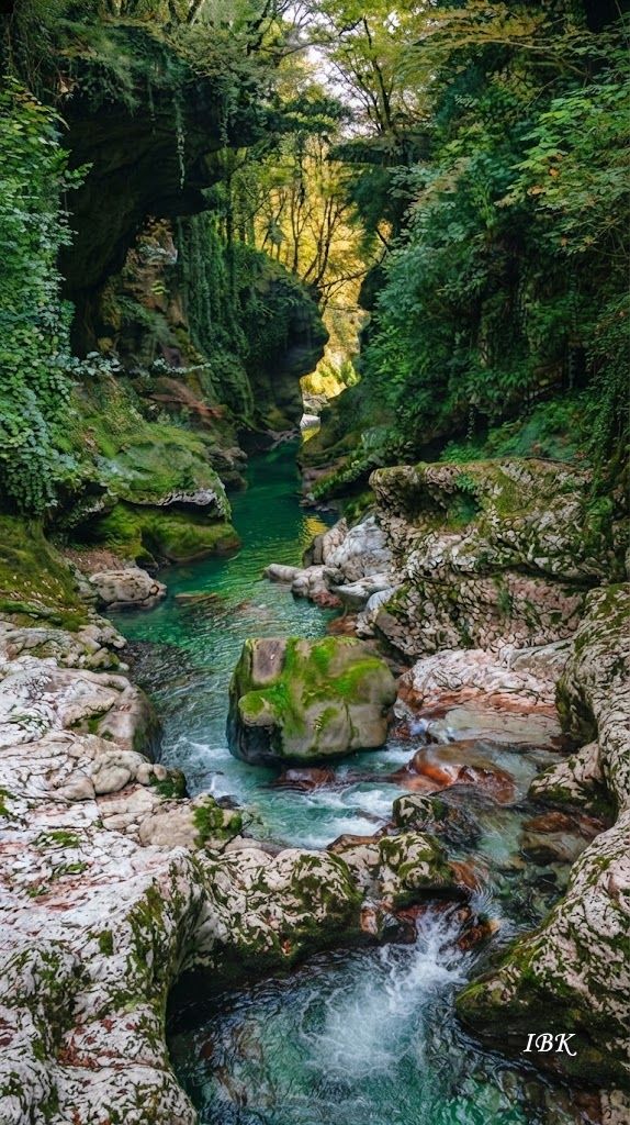 Martwili Canyon in Westgeorgien mit türkisfarbenem Wasser, steilen Felswänden und dichter grüner Vegetation.